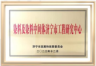 染料及染料中间体济宁市工程研究中心